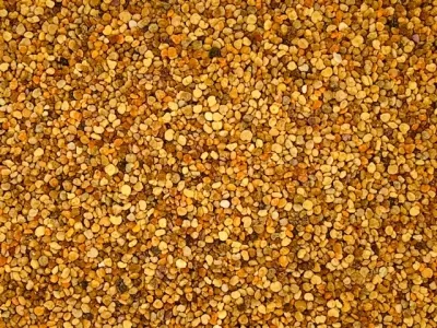 Bienenpollen
