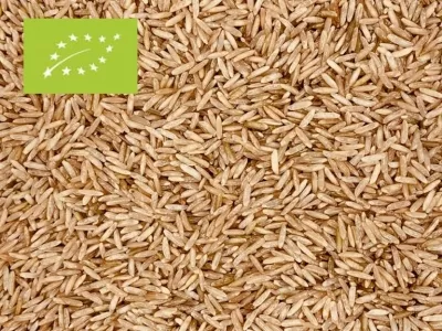 Basmati-Reis Vollkorn Bio