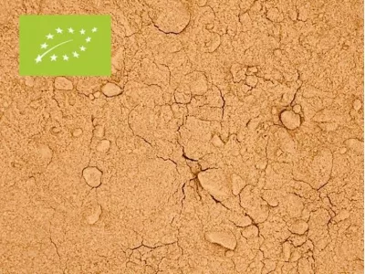 Camu Camu Pulver Bio