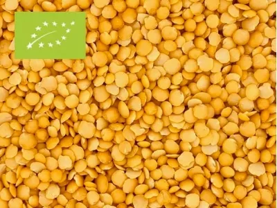 Linsen gelb split Bio