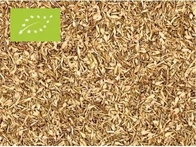 Oregano Bio