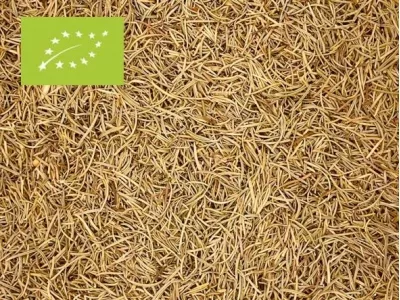 Rosmarin Bio