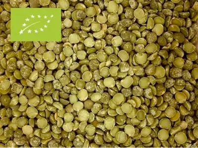 Erbsen grün split Bio