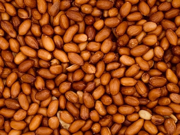Erdnüsse mit Haut geröstet, ohne Salz